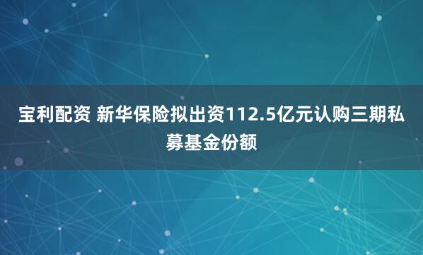 宝利配资 新华保险拟出资112.5亿元认购三期私募基金份额
