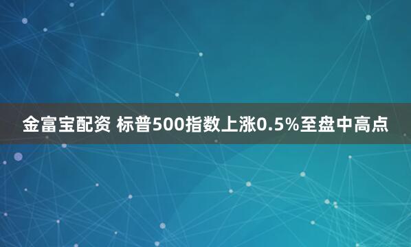 金富宝配资 标普500指数上涨0.5%至盘中高点