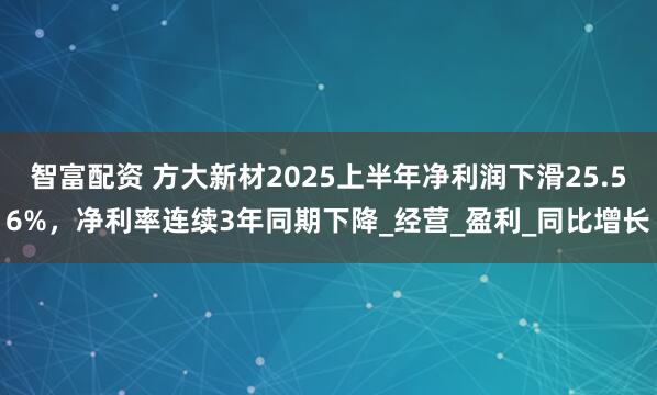 智富配资 方大新材2025上半年净利润下滑25.56%，净利率连续3年同期下降_经营_盈利_同比增长